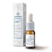 CannaVet CBD Öl 10% – Natürliches CBD Hanf-Pflegemittel für Hunde und Katzen, frei von THC und schädlichen Stoffen, unterstützt Haut- und Fellpflege.