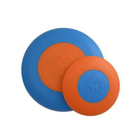 Planet Dog Orbee-Tuff Zoom Flyer – robuste, mintduftende Hundefrisbee mit weicher Gummikante für weite Würfe und sicheres Fangen.