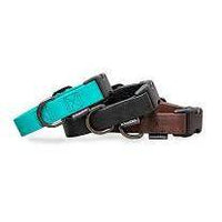 Treusinn Biothane Halsband 25mm Super Stay – nachhaltiges, wasserfestes Hundehalsband in veganer Biothane®-Qualität, ideal für Hunde aller Größen