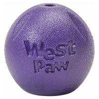 Hund spielt mit dem Zogoflex Echo Rando Ball – schwimmfähiges, unvorhersehbar springendes Hundespielzeug für drinnen, draußen und Wasser.