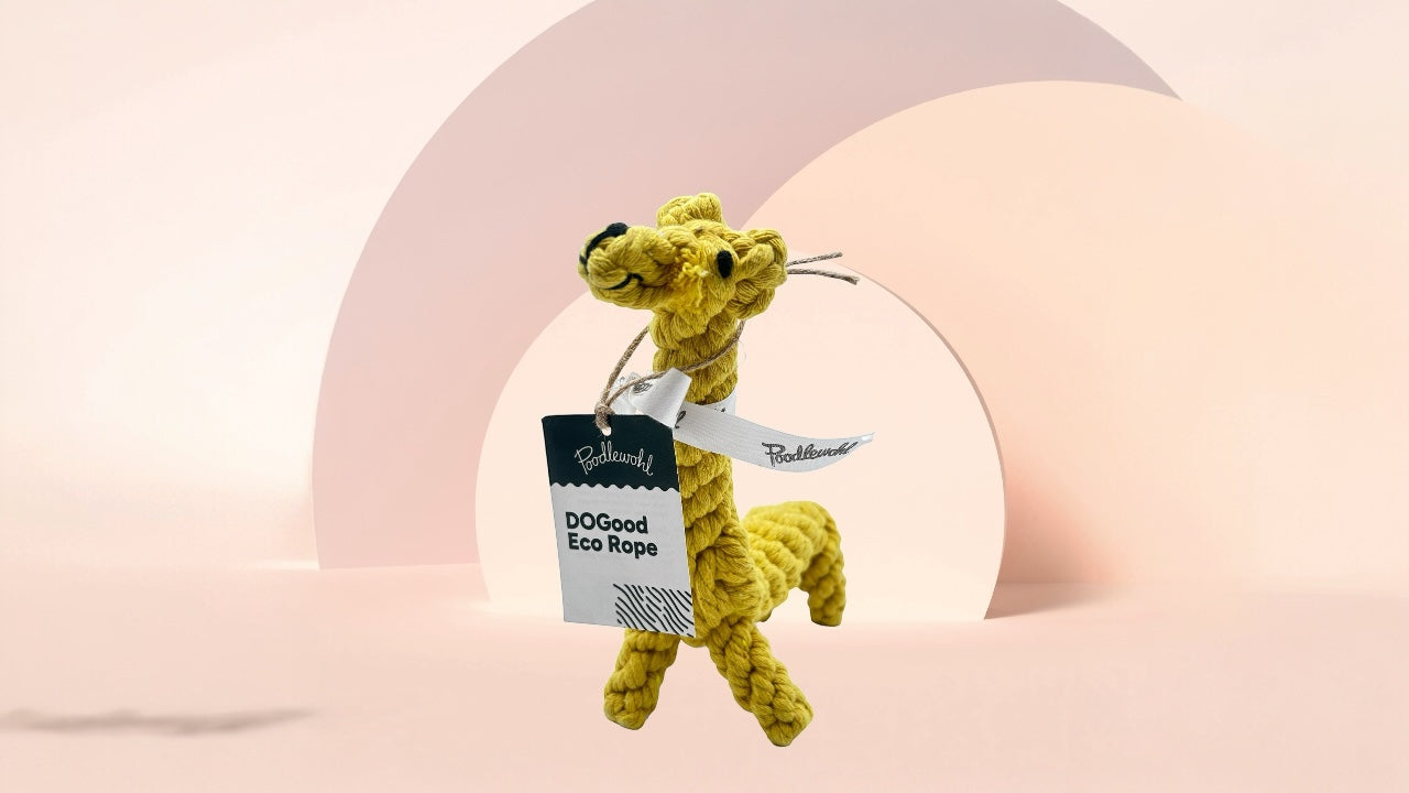 Spielzeug für Hunde von DoGood Poodlewohl Hamburg - Bio-Shop für Hunde & Katzen