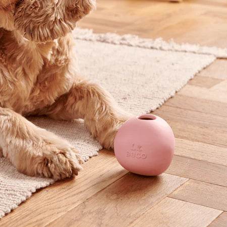 Ein Hund spielt begeistert mit dem Beco Wobble Ball, rollt ihn mit der Pfote und versucht, an die darin versteckten Leckerlis zu gelangen.