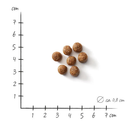 Defu Mini Geflügel Bio-Trockenfutter kleine Hunde