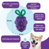 „Detailansicht der Planet Dog Dental Grapes mit Pfeilen und Beschriftungen, die die Zahnpflege-Rillen, das robuste Seil und die Leckerli-Befüllung als Vorteile des Kauspielzeugs hervorheben.