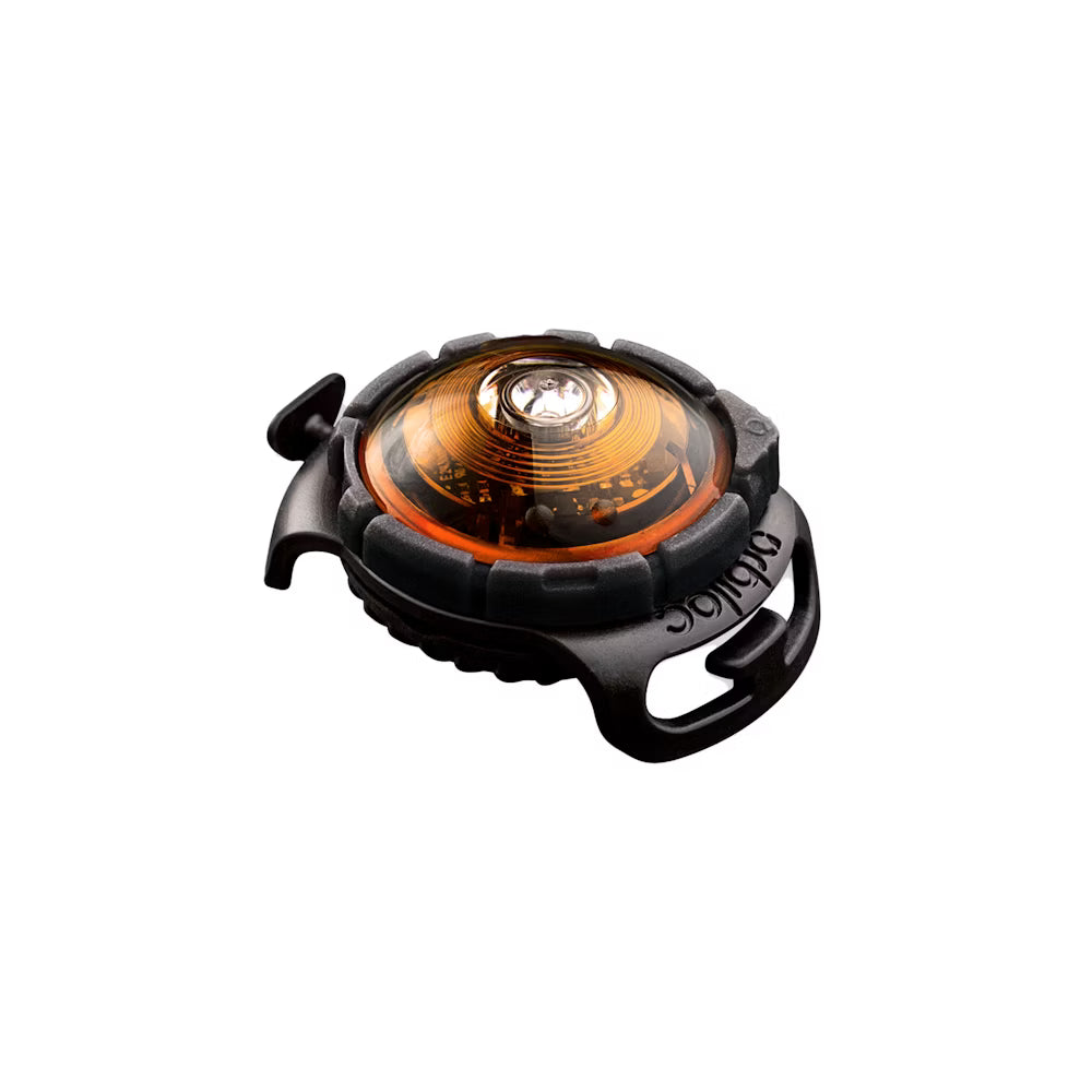 Orbiloc Dog Dual Safety Light – LED-Hundelicht für maximale Sicherheit