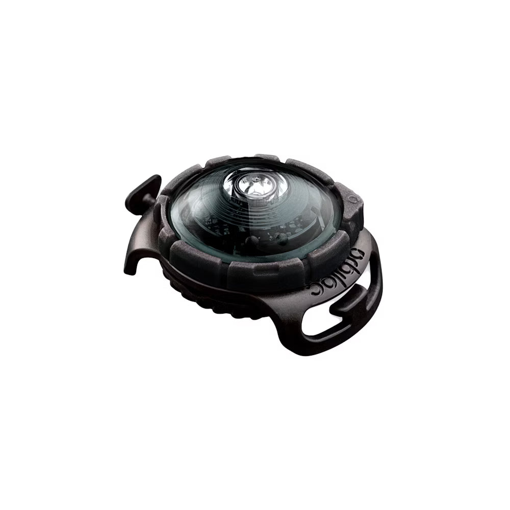 Orbiloc Dog Dual Safety Light – LED-Hundelicht für maximale Sicherheit