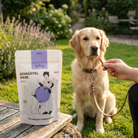 Poodlewohl Bio-Gans Stickis Snack-Beutel mit kleinem Sticki beim Hundetraining im Park oder Garten