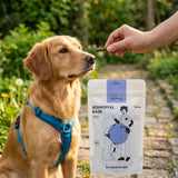 Poodlewohl Bio-Huhn Stickis Snack-Beutel mit kleinem Sticki beim Hundetraining im Park oder Garten