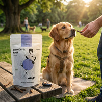 Poodlewohl Bio-Rind Stickis Snack-Beutel mit kleinem Sticki beim Hundetraining im Park oder Garten