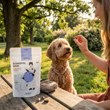 Poodlewohl Bio Leckerli Pute luftgetrocknet Snack-Beutel mit kleinem Hundesnack beim Training im Park oder Garten