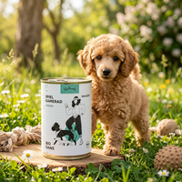 Poodlewohl Bio Nassfutter Gans Junior 400g Dose neben jungem Hund auf heller Wiese als Bio-Mahlzeit für Welpen und Junghunde