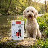 Poodlewohl Bio Nassfutter Lachs Adult 400g Dose neben erwachsenem Hund in natürlicher Umgebung als Bio-Mahlzeit für ausgewachsene Hunde
