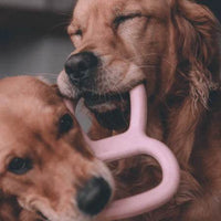 Zwei Hunde spielen gemeinsam mit einem robusten Hundespielzeug aus Naturkautschuk – rutschfeste Griffe an beiden Enden ermöglichen sicheres Tauziehen, federndes Material schützt Zähne und Gelenke.
