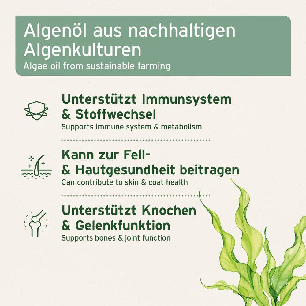 Algenöl aus nachhaltigen Algenkulturen – Unterstützt Immunsystem, Stoffwechsel, Haut- und Fellgesundheit sowie Knochen- und Gelenkfunktion.