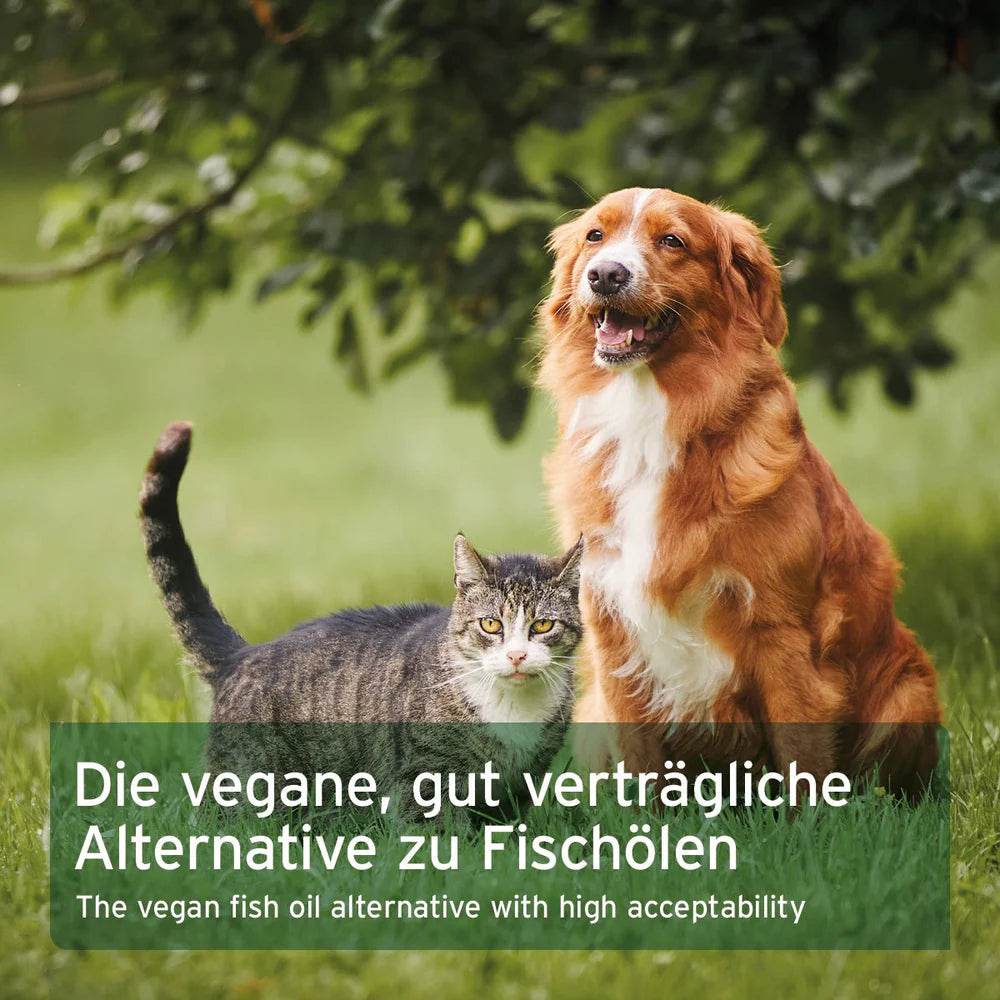 Die vegane, gut verträgliche Alternative zu Fischölen, ideal für Hunde und Katzen, mit hoher Akzeptanz und gesundheitsfördernden Eigenschaften.