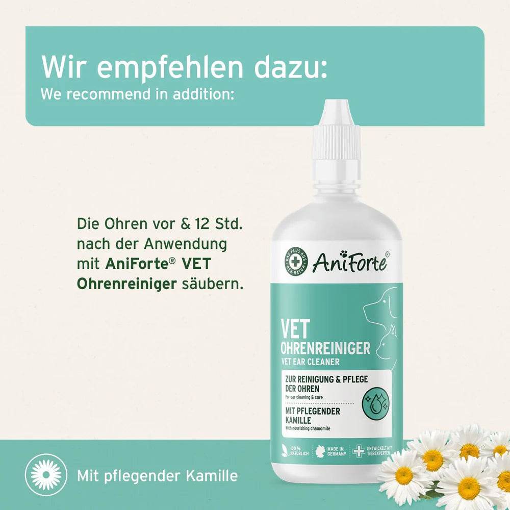 Empfohlene Anwendung des AniForte VET Ohrenreinigers zur zusätzlichen Pflege nach der Anwendung des Ohrmilbenöls.