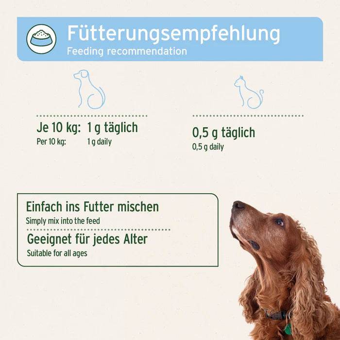 Fütterungsempfehlung für AniForte® Bierhefe Pulver – Dosierung für Hunde je 10 kg: 1 g täglich, für Katzen: 0,5 g täglich, einfach ins Futter mischen