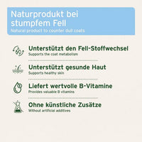 Übersichtsgrafik: AniForte® Bierhefe Pulver unterstützt Fell-Stoffwechsel, gesunde Haut, liefert B-Vitamine und enthält keine künstlichen Zusätze