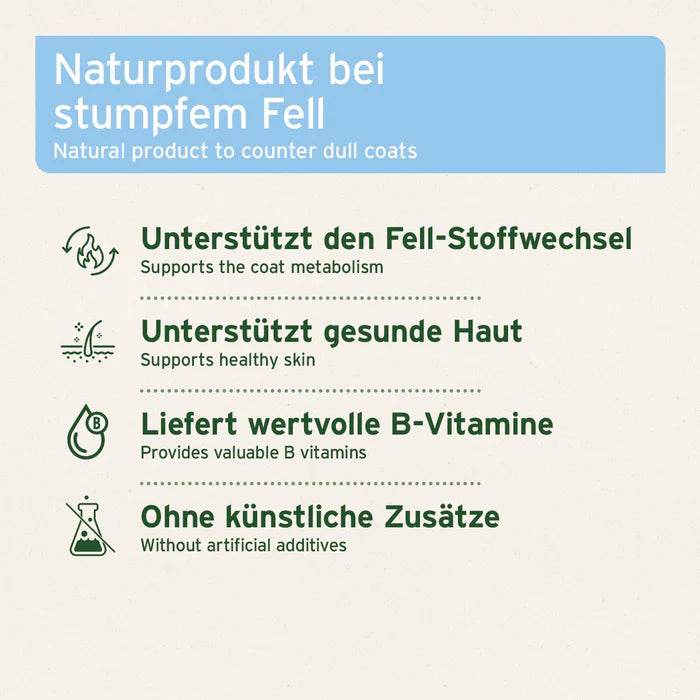 Übersichtsgrafik: AniForte® Bierhefe Pulver unterstützt Fell-Stoffwechsel, gesunde Haut, liefert B-Vitamine und enthält keine künstlichen Zusätze
