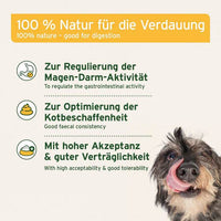 AniForte® Naturmoor – Übersicht der Vorteile für Hunde: Regulierung der Magen-Darm-Aktivität, bessere Kotbeschaffenheit und hohe Akzeptanz bei guter Verträglichkeit