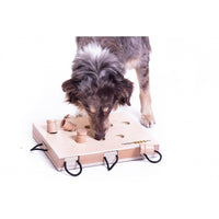 Ein Aussie-Hund spielt mit dem „iPet-Smart Dog“ Geschicklichkeitsspiel, indem er mit den Auszügen zieht, um an die versteckten Leckerlis zu gelangen.

