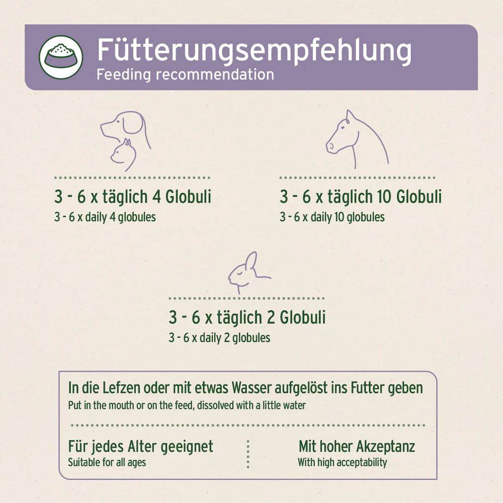 Eine Fütterungsempfehlung für pflanzliche Globuli, die für Hunde, Katzen und Kleintiere geeignet sind. Die Dosierung variiert je nach Tiergröße: 3-6 mal täglich 4 Globuli für Hunde, 3-6 mal täglich 10 Globuli für größere Tiere und 3-6 mal täglich 2 Globuli für Kleintiere. Die Globuli können direkt in die Lefzen gegeben oder mit etwas Wasser aufgelöst ins Futter gemischt werden. Das Produkt ist für jedes Alter geeignet und wird gut akzeptiert.