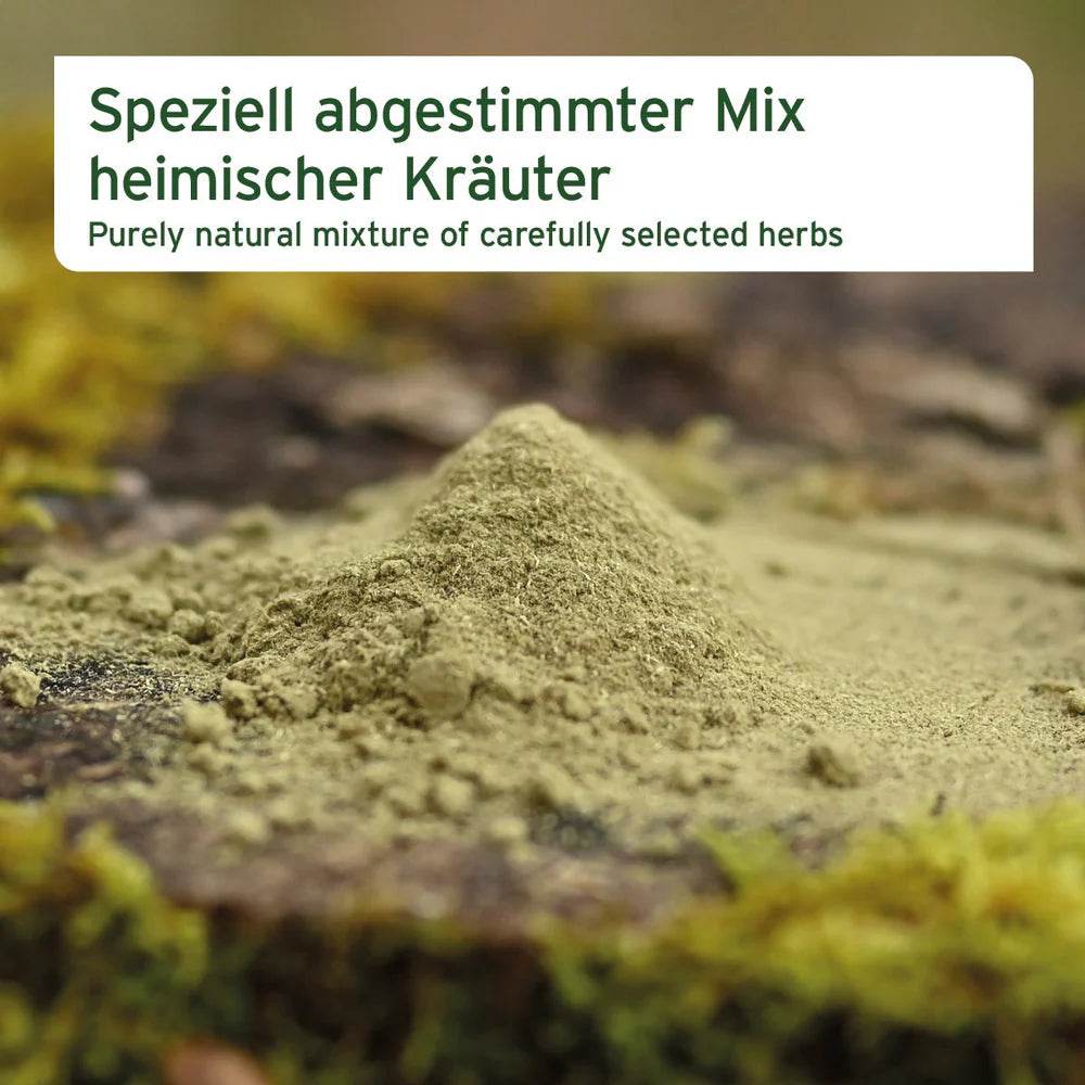Das Bild zeigt eine Nahaufnahme eines grünen Kräuterpulvers, das speziell abgestimmt wurde. Es wird als rein natürliches Gemisch aus sorgfältig ausgewählten heimischen Kräutern beschrieben. Der Hintergrund zeigt moosbedeckten Boden, was die Natürlichkeit und den Ursprung der Kräuter betont.