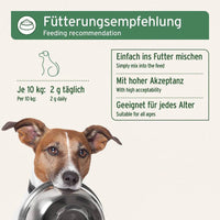Das Bild zeigt eine Fütterungsempfehlung für Hunde: Für Hunde mit einem Gewicht von 10 kg werden täglich 2 g empfohlen. Der Zusatz wird einfach ins Futter gemischt und ist mit hoher Akzeptanz für Hunde jeden Alters geeignet.