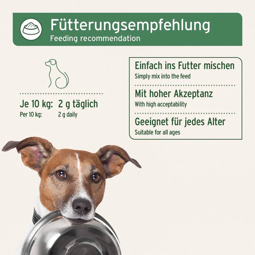 Das Bild zeigt eine Fütterungsempfehlung für Hunde: Für Hunde mit einem Gewicht von 10 kg werden täglich 2 g empfohlen. Der Zusatz wird einfach ins Futter gemischt und ist mit hoher Akzeptanz für Hunde jeden Alters geeignet.