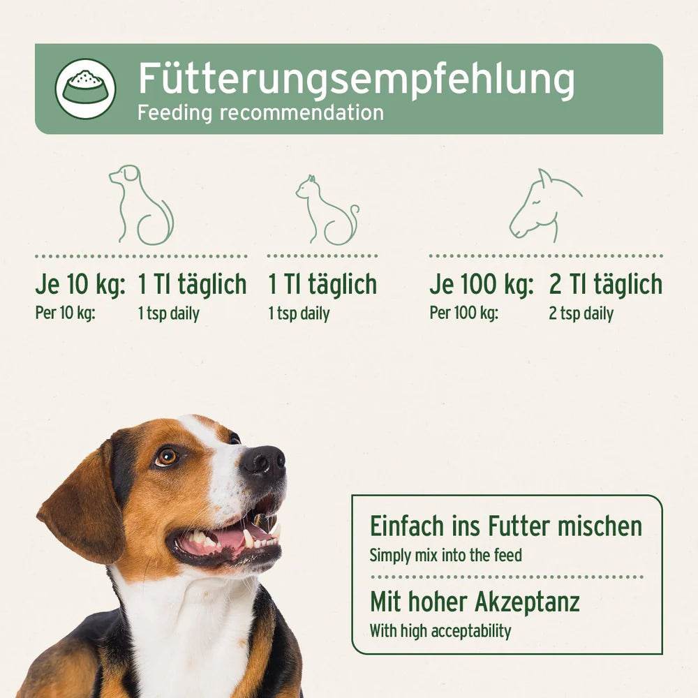 Fütterungsempfehlung für Hunde und Katzen mit Hanföl, 1 TL täglich für 10 kg Körpergewicht, 2 TL für 100 kg, einfach ins Futter mischen, hohe Akzeptanz.