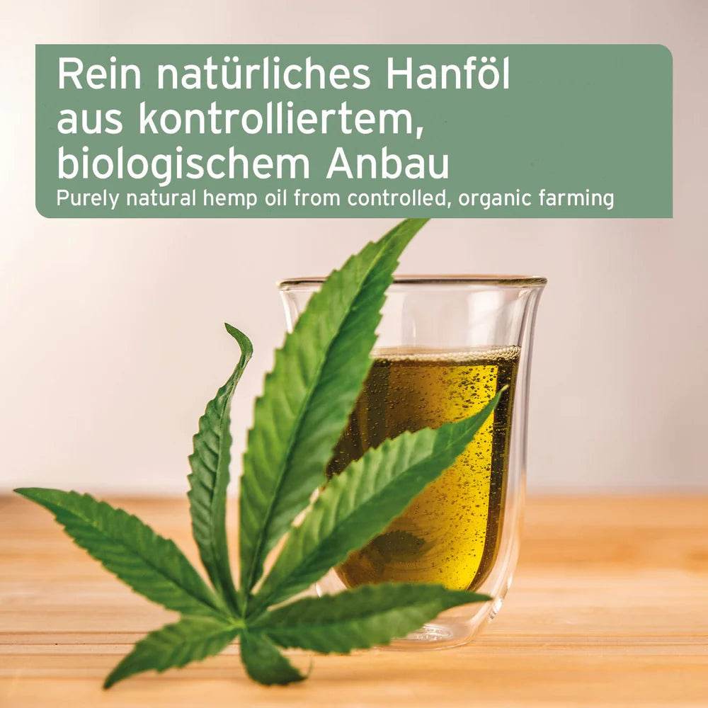 Glas mit reinem, natürlichem Hanföl aus kontrolliertem, biologischem Anbau, begleitet von frischen Hanfblättern.