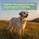 Hund in der Natur mit dem Text "Tägliche Versorgung für eine ausgewogene Ernährung" im Hintergrund. Bild zeigt einen Hund, der für eine ausgewogene Ernährung und tägliche Nährstoffversorgung sorgt.