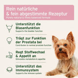 Das Bild zeigt das Etikett eines Produkts, das eine rein natürliche und fein abgestimmte Rezeptur bietet. Es unterstützt die Blasenfunktion, trägt zur normalen Funktion der Prostata bei, regt den Stoffwechsel und Appetit an und stärkt das Immunsystem. Abgebildet ist ein Yorkshire Terrier, der für das Produkt wirbt.