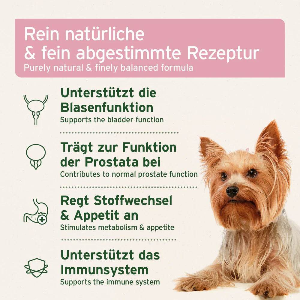 Das Bild zeigt das Etikett eines Produkts, das eine rein natürliche und fein abgestimmte Rezeptur bietet. Es unterstützt die Blasenfunktion, trägt zur normalen Funktion der Prostata bei, regt den Stoffwechsel und Appetit an und stärkt das Immunsystem. Abgebildet ist ein Yorkshire Terrier, der für das Produkt wirbt.