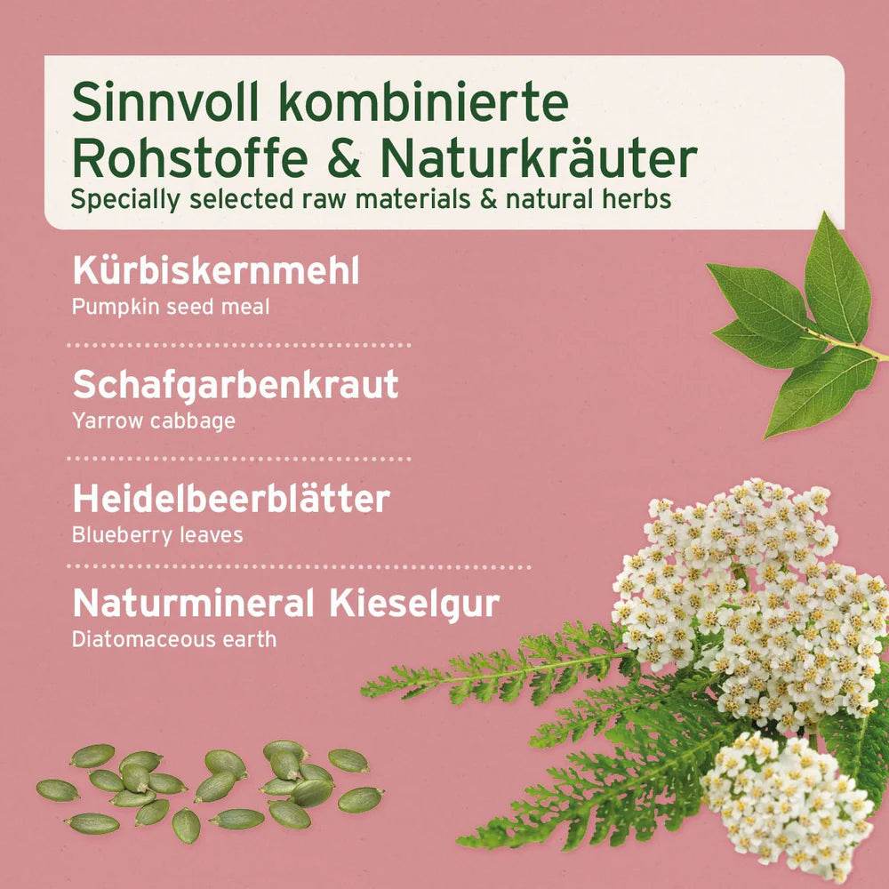 Das Bild zeigt das Etikett eines Produkts, das eine speziell ausgewählte Kombination aus Rohstoffen und Naturkräutern enthält, wie Kürbiskernmehl, Schafgarbenkraut, Heidelbeerblätter und Naturmineral Kieselgur. Diese Inhaltsstoffe sind für ihre positiven Eigenschaften bekannt und werden für die Unterstützung der Gesundheit verwendet.
