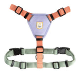 Woolly Wolf Color Block Hundegeschirr – nachhaltiges Hundegeschirr aus recyceltem Polyester in Pastellfarben mit reflektierenden Polstern für Sicherheit bei Nacht, Fünf-Punkt-Verstellung für perfekte Passform.