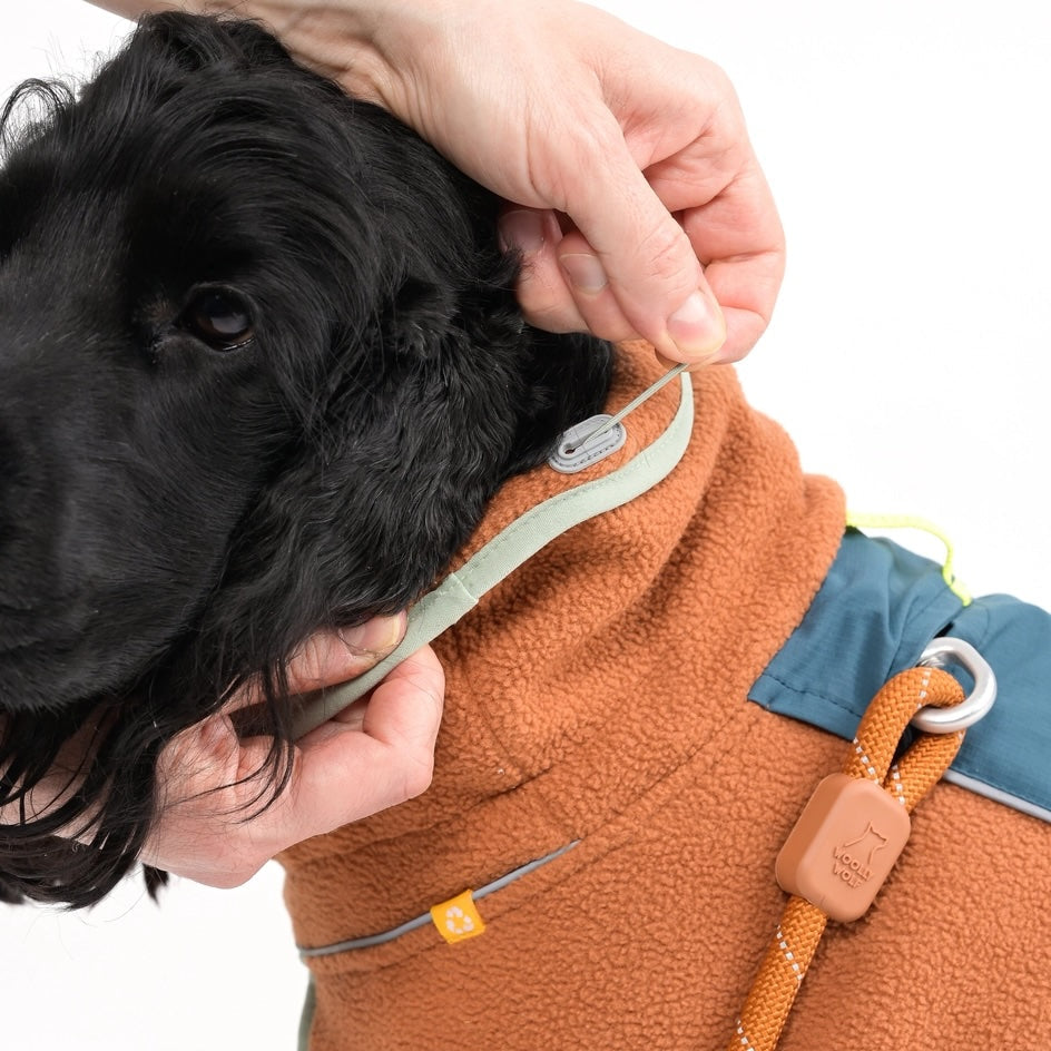 Detailansicht des Halsbereichs eines Hundes im doppellagigen Fleece-Pullover mit verstellbarer Kordel für perfekte Passform