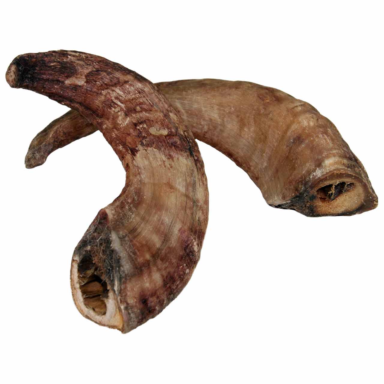 Heidschnuckenhorn – Natürlicher Kausnack für Hunde zur Zahnpflege, splitterfrei und ohne Zusätze