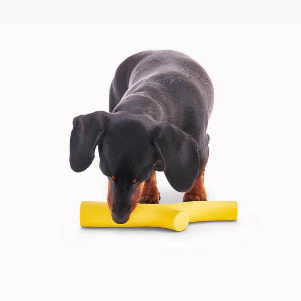 Hund beim Kauen auf einem gelben Beco Super Stick – umweltfreundliches, robustes Hundespielzeug aus nachhaltigem Material zur Zahnpflege und Beschäftigung.