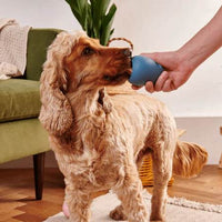 Hund spielt begeistert mit interaktivem Naturkautschuk-Spielzeug, das mit Leckerlis gefüllt ist – perfekte Beschäftigung für aktive Vierbeiner.