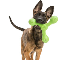 Hund hält West Paw Zogoflex Skamp im Mund – robustes Wurfspielzeug in leuchtender Farbe, ideal für stundenlangen Spielspaß und Zerrspiele.