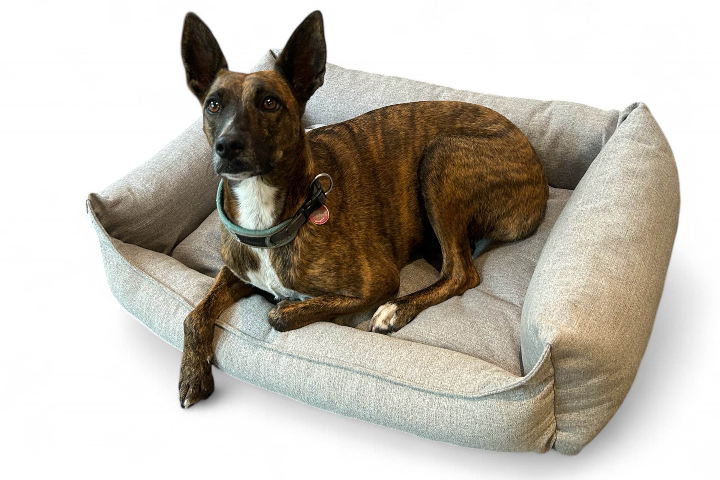 DoGood Hundebett waschbar aus recyceltem PET
