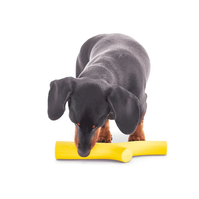 Hund beim Kauen auf einem gelben Beco Super Stick – umweltfreundliches, robustes Hundespielzeug aus nachhaltigem Material zur Zahnpflege und Beschäftigung.