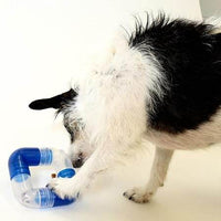 Hund schnüffelt an Orbee Tuff Link Hundespielzeug, während er versucht, die Leckerlis durch den interaktiven Mechanismus zu erreichen.