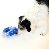 Hund spielt mit dem Orbee Tuff Link Hundespielzeug in Blau und Transparent, nutzt den interaktiven Puzzle-Mechanismus, um an die Leckerlis zu gelangen.