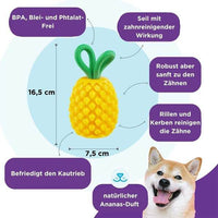 Planet Dog Dental Pineapple – 2-in-1 Kauspielzeug zur Zahnpflege und Leckerli-Befüllung für Hunde, aus robustem und zahnfreundlichem Material, BPA-frei und mit Traubenduft.