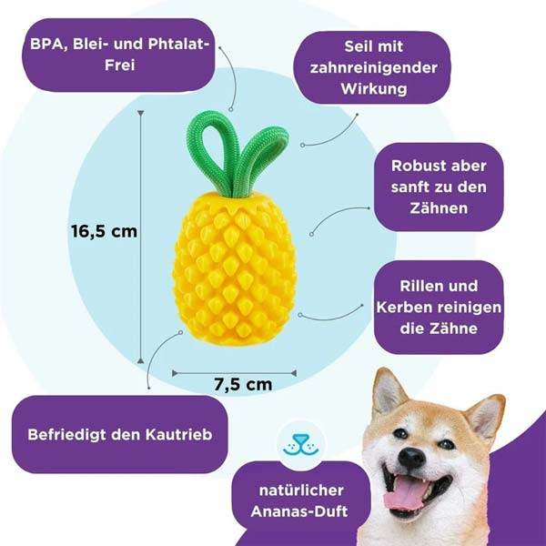 Planet Dog Dental Pineapple – 2-in-1 Kauspielzeug zur Zahnpflege und Leckerli-Befüllung für Hunde, aus robustem und zahnfreundlichem Material, BPA-frei und mit Traubenduft.