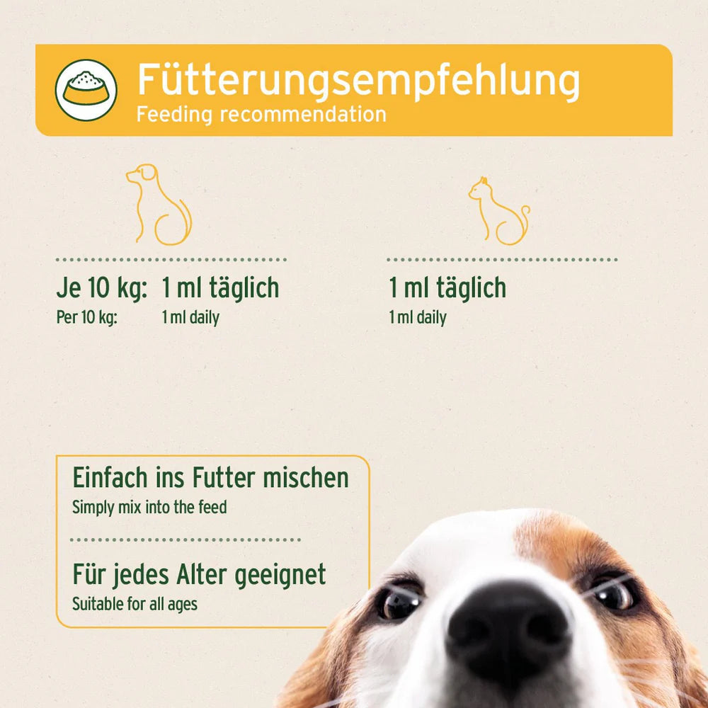 Infografik zur Fütterungsempfehlung für Topinambur-Sirup: 1 ml täglich für Katzen und 1 ml pro 10 kg Körpergewicht für Hunde. Das Produkt sollte einfach ins Futter gemischt werden und ist für jedes Alter geeignet.