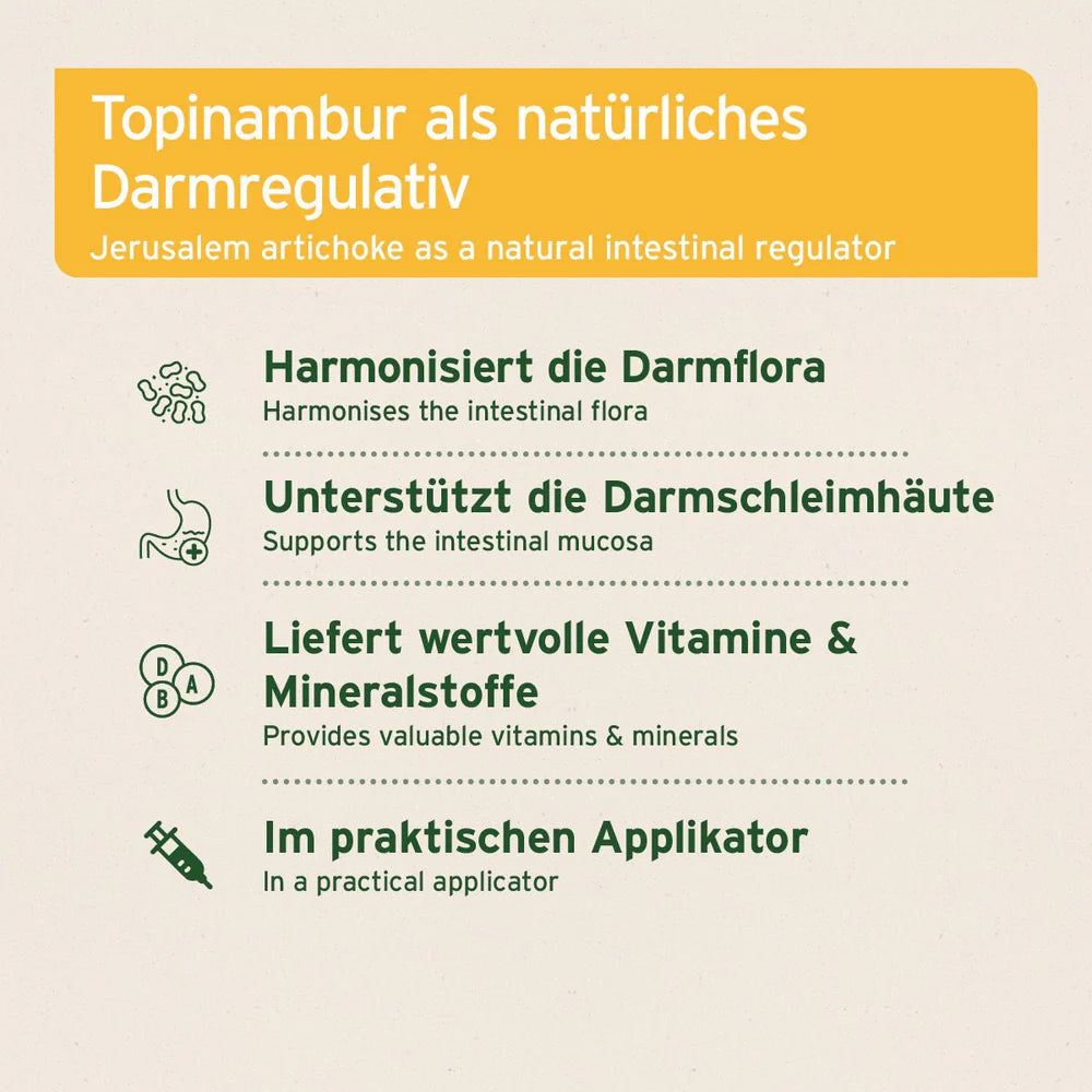 Infografik über Topinambur als natürliches Darmregulativ, das die Darmflora harmonisiert, die Darmschleimhäute unterstützt und wertvolle Vitamine sowie Mineralstoffe liefert. Es wird in einem praktischen Applikator angeboten.
