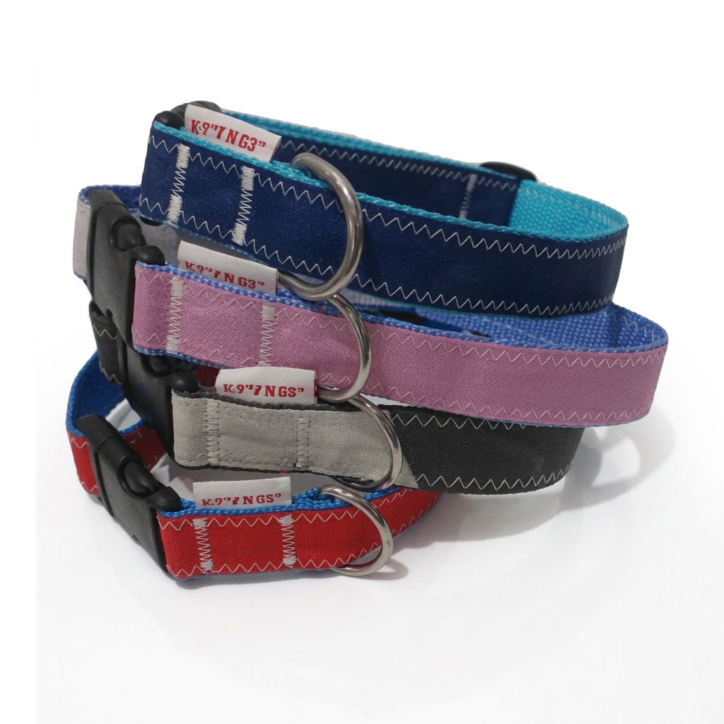 Einzigartiges Hundehalsband aus recyceltem Segeltuch – handgefertigt, verstellbar, salzwasserfest, mit stabilem Steckverschluss und Edelstahl-D-Ring